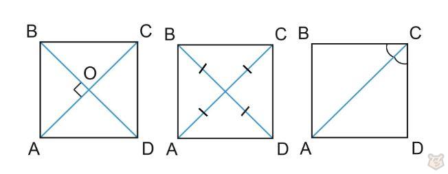 Четырехугольники