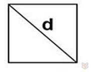 Четырехугольники