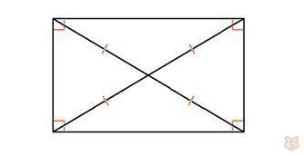 Четырехугольники