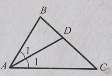 Треугольники