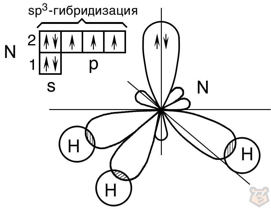 Гибридизация