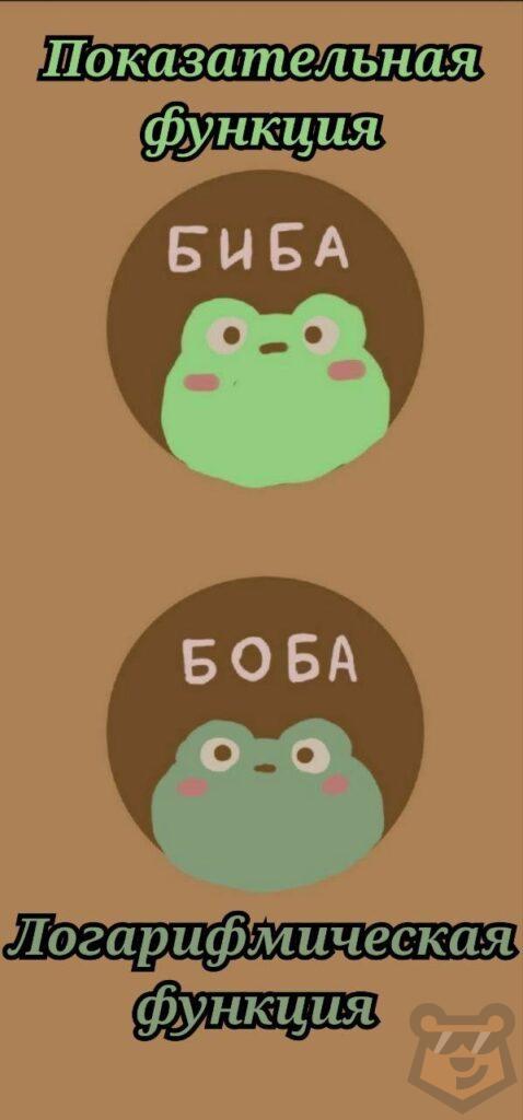 Логарифмическая функция