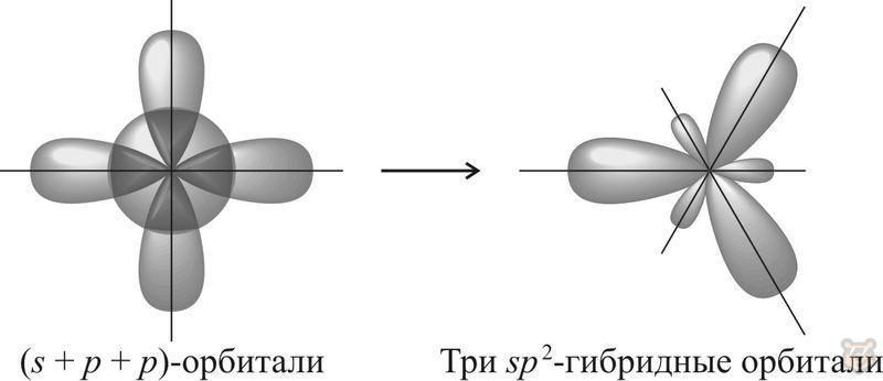 Гибридизация