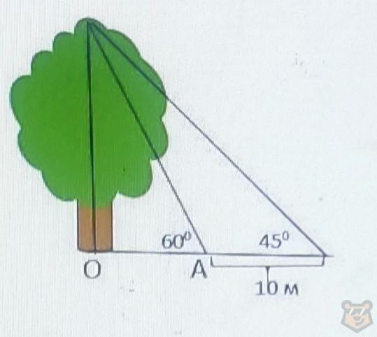 Треугольники