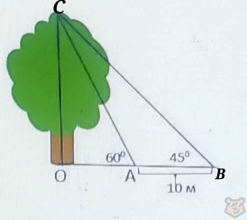 Треугольники