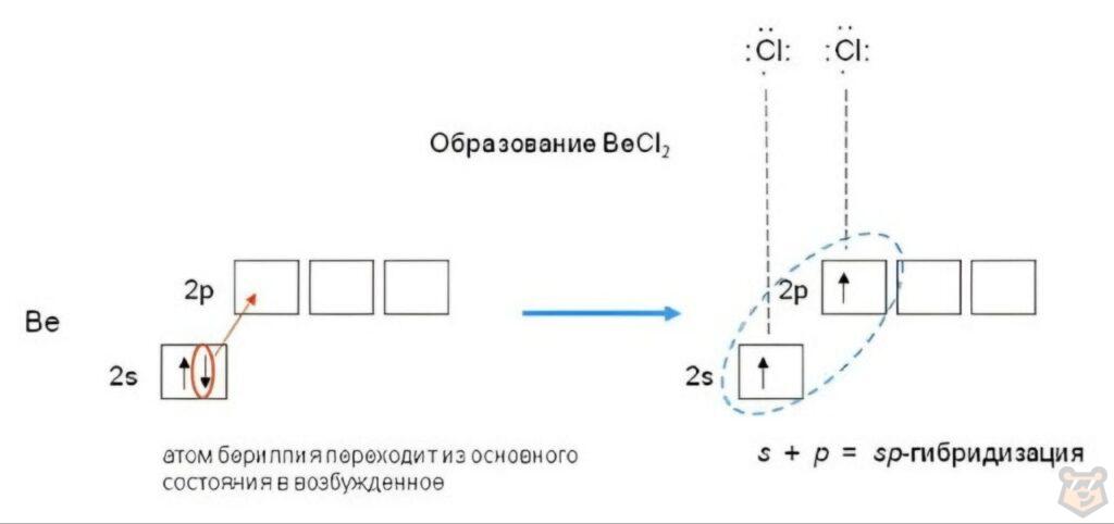 Гибридизация