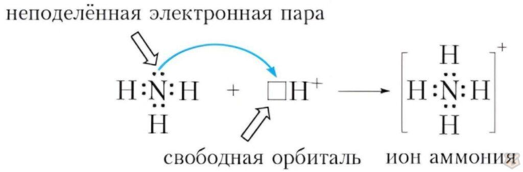 Кислоты и основания